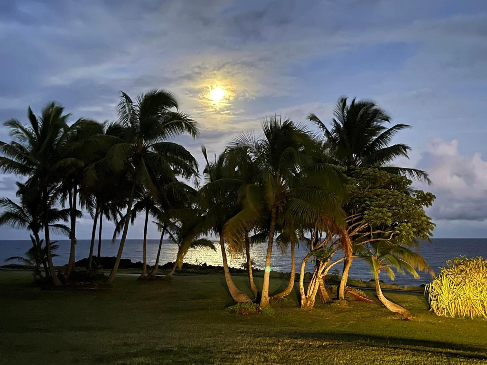 Apartment Comfort Nest Pahoa