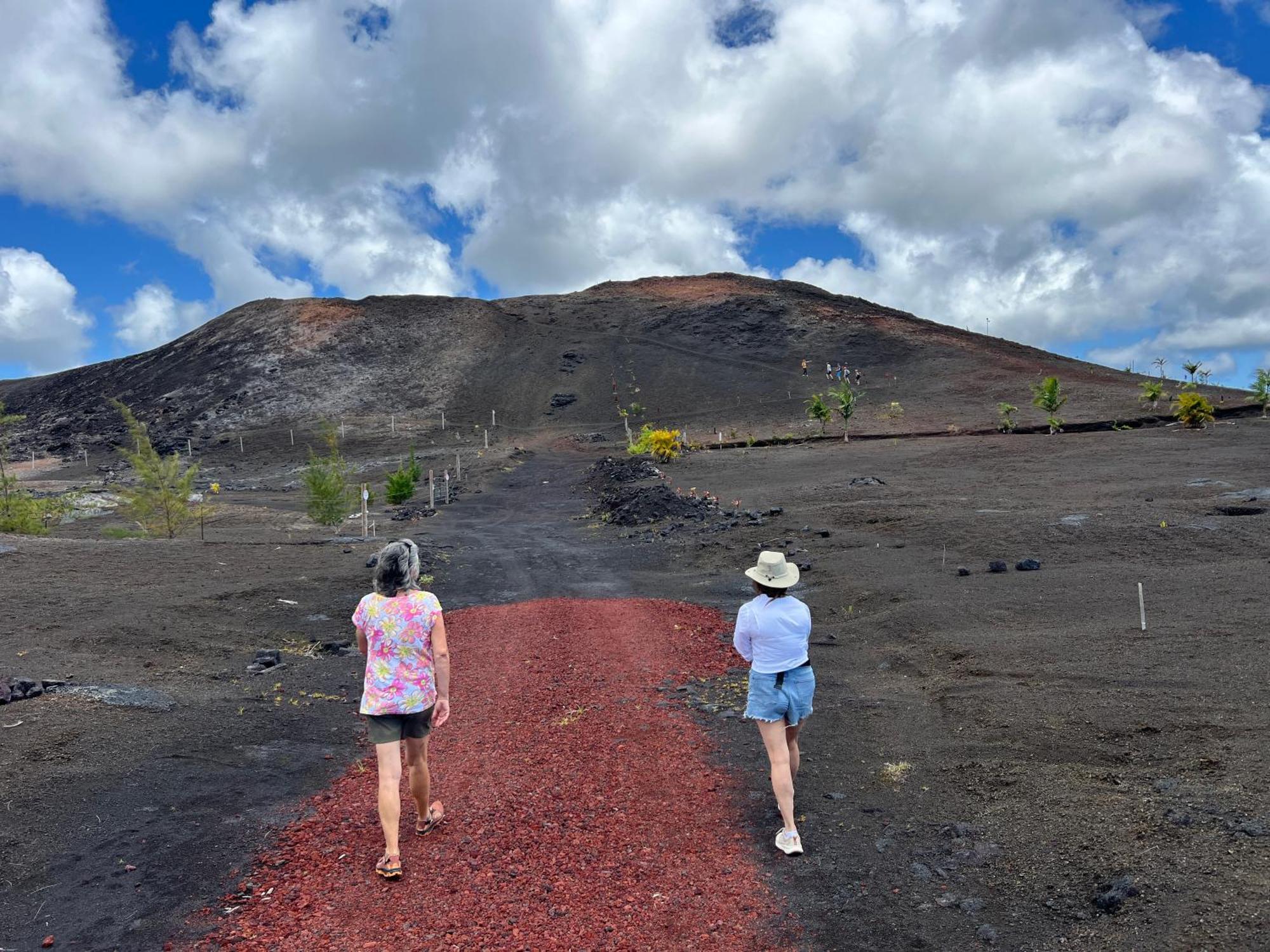 Comfort Nest * Pahoa